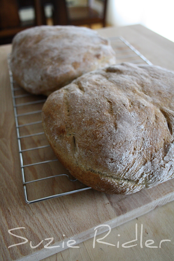 Caraway Rye Bread…from a bread maker! Suzie the Foodie