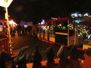 Stanley Park at Christmas