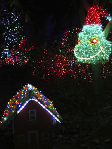 Festival of Lights at VanDusen Botanical Gardens