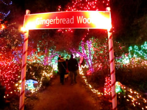 Festival of Lights at VanDusen Botanical Gardens