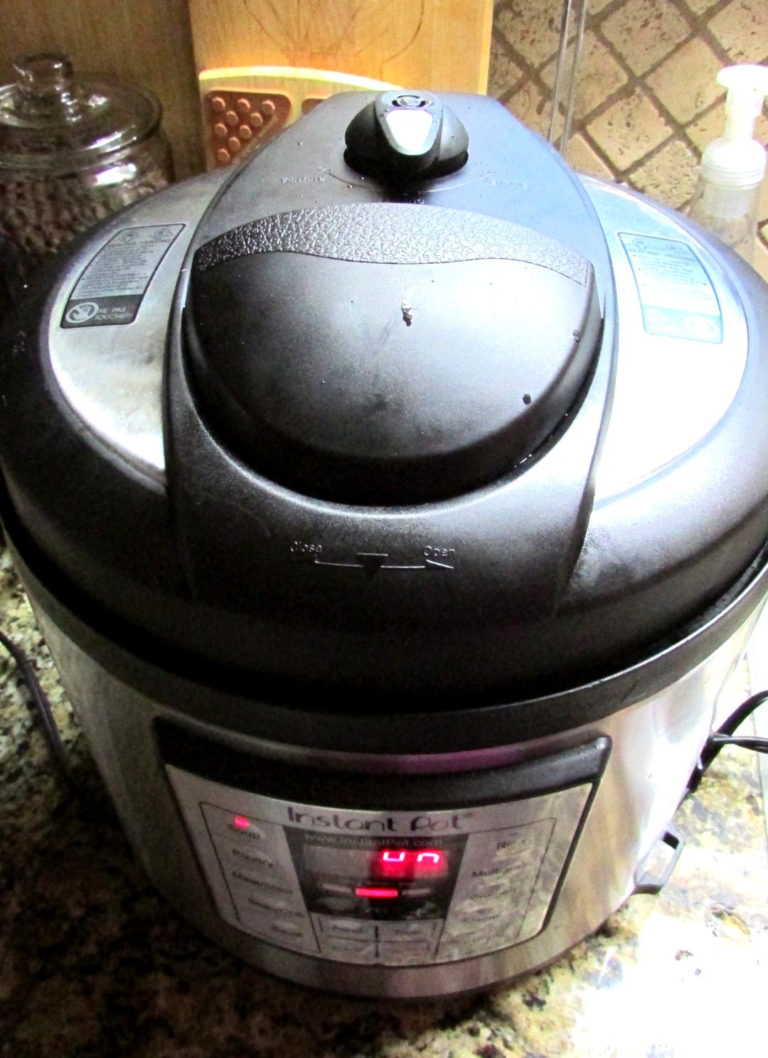 Trying to bring my Instant Pot back from the dead - Suzie The Foodie