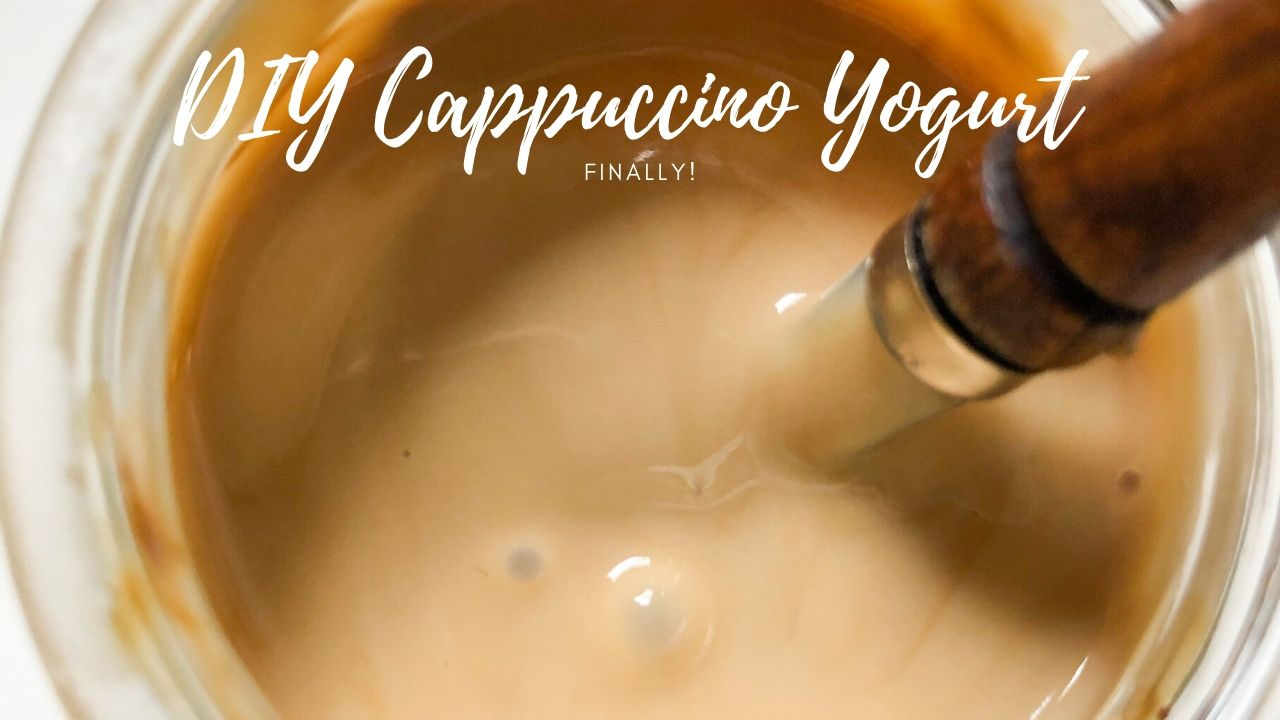 Super Easy and Simple DIY Cappuccino Yogurt Suzie The Foodie