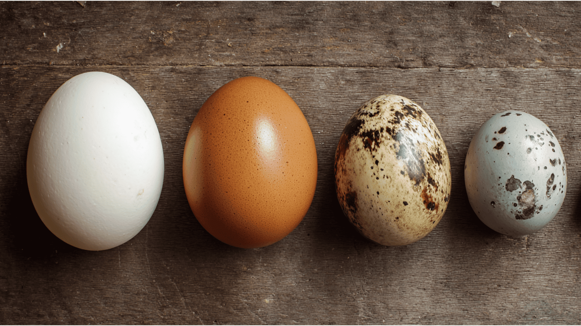 different types of eggs