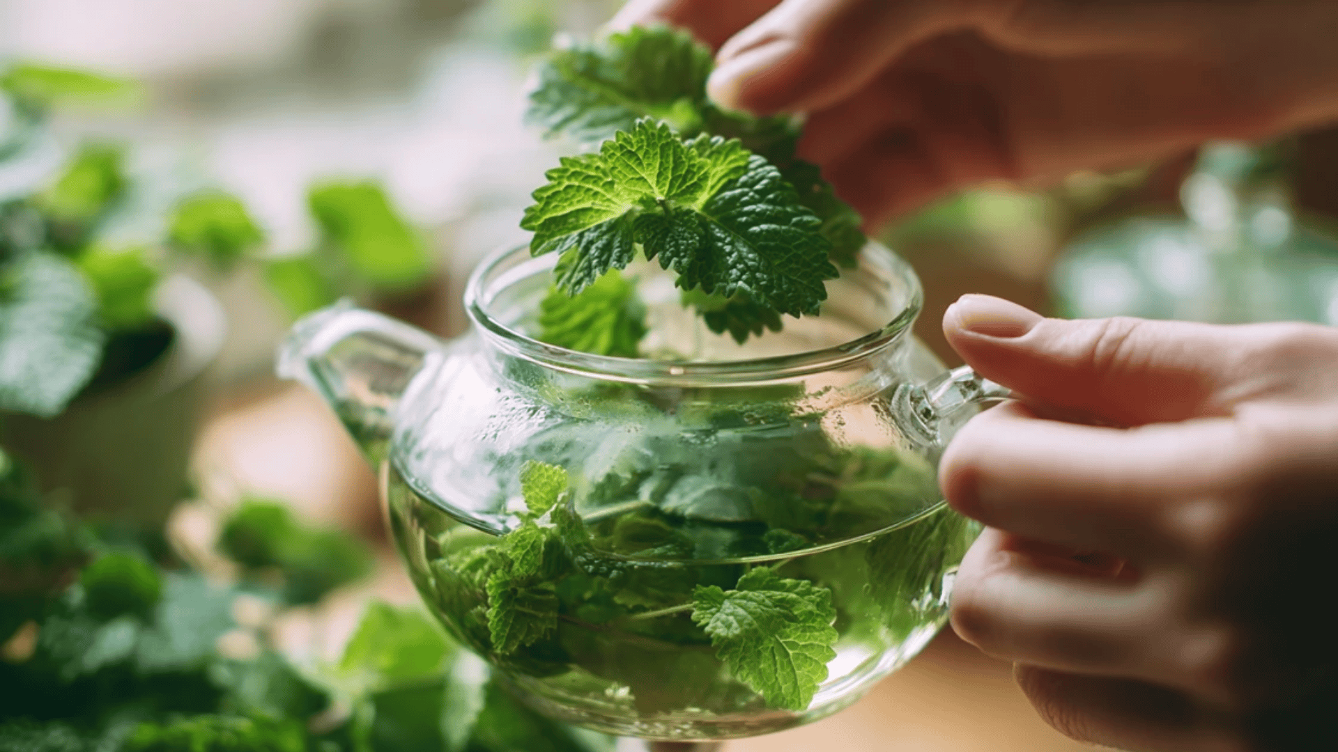 Add Fresh or Dried Leaves