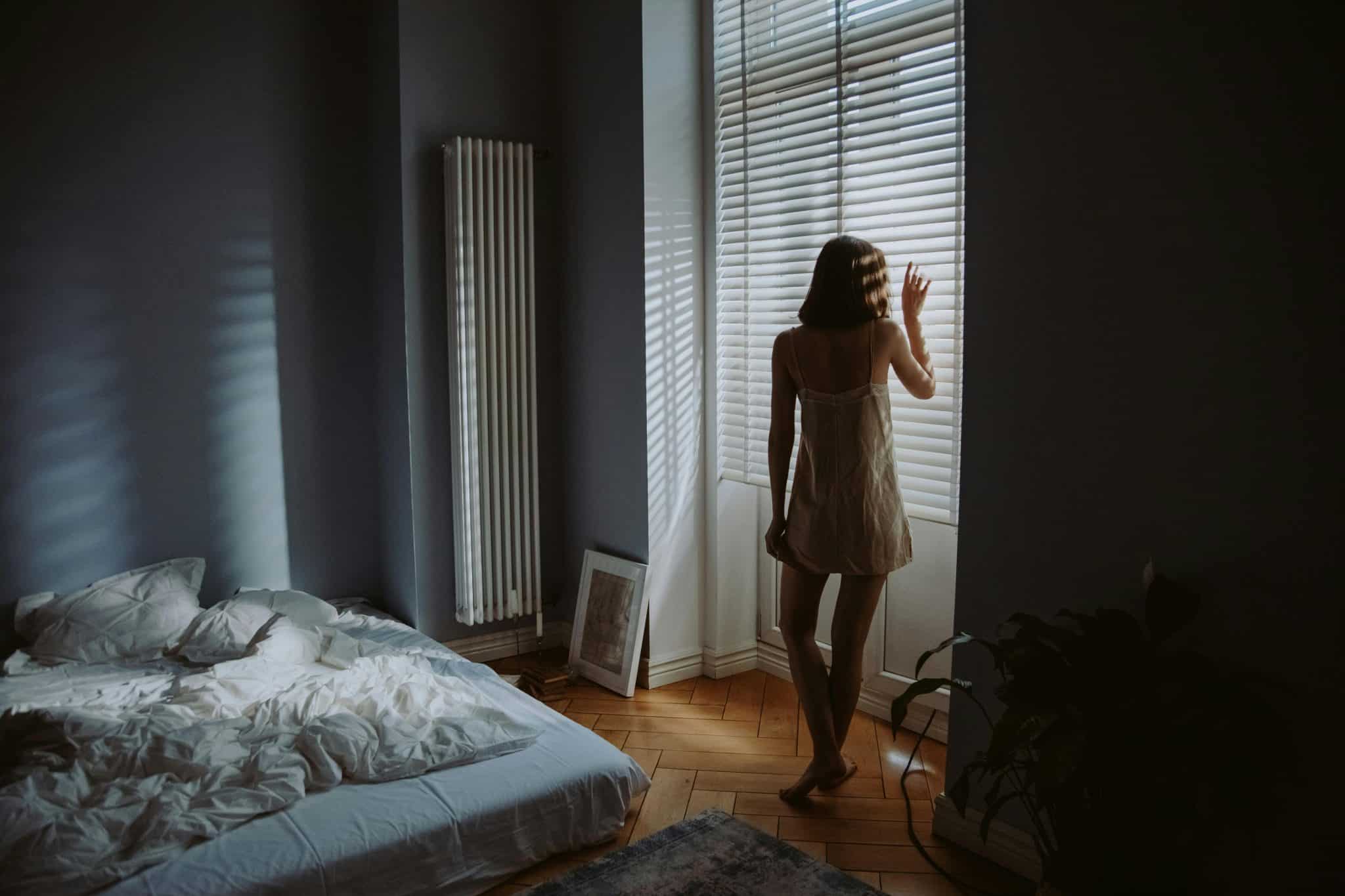 What are The Best Window Blinds for Privacy and Light