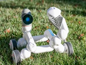 The Modern Guide to Robotic Lawn Mowers