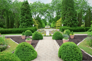 Landscaping Ideas to Turn Your Backyard Into an Oasis