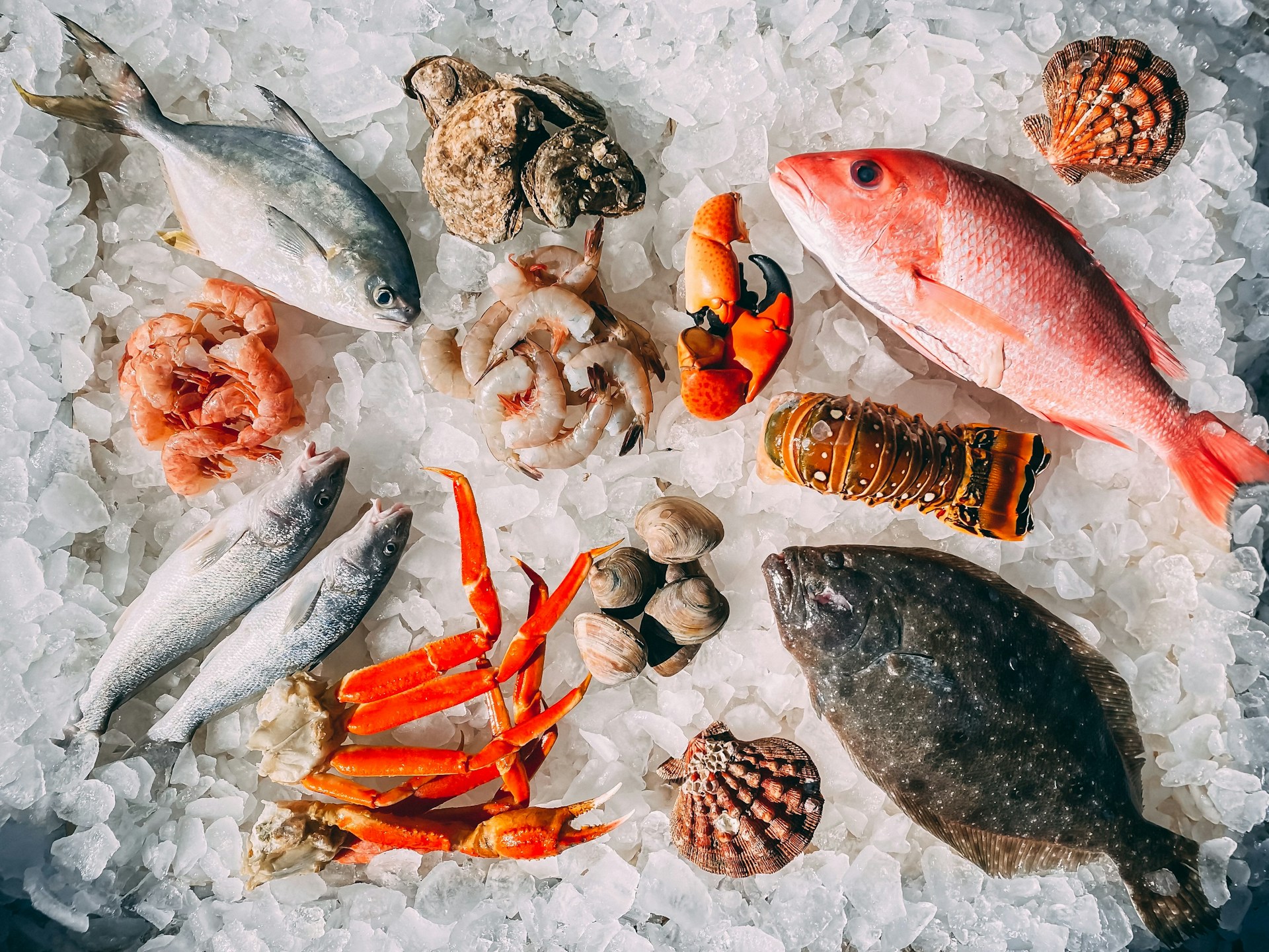 Seafood School