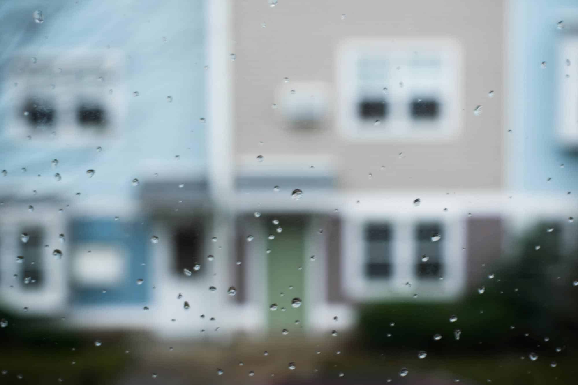 Weather-Proof Exteriors: A Homeowner's Guide - Suzie The Foodie