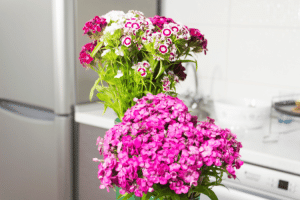 Upgrade Your Kitchen With These Real-Touch Blooms from Jamali Garden
