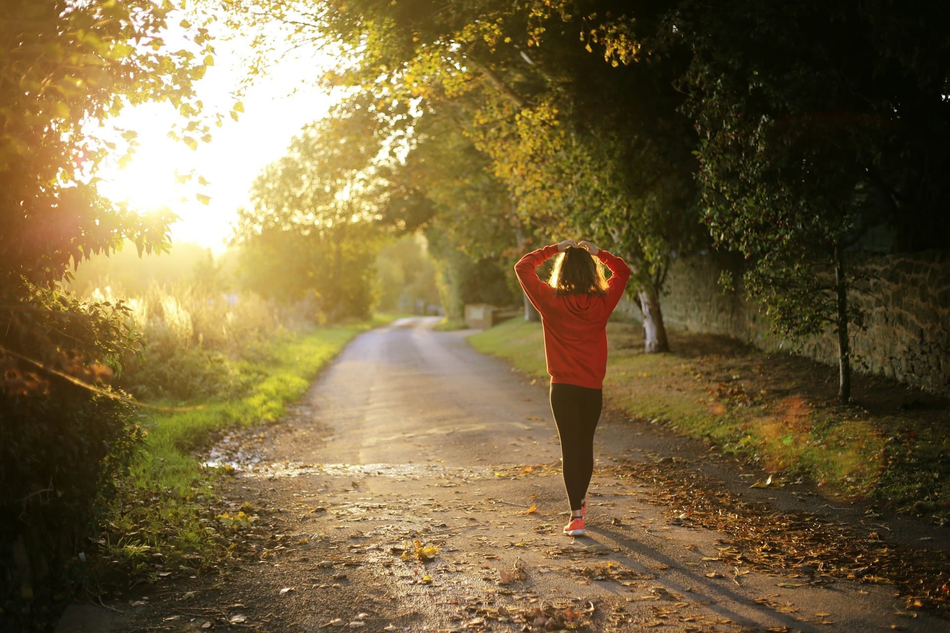 Improve Your Mental Health
