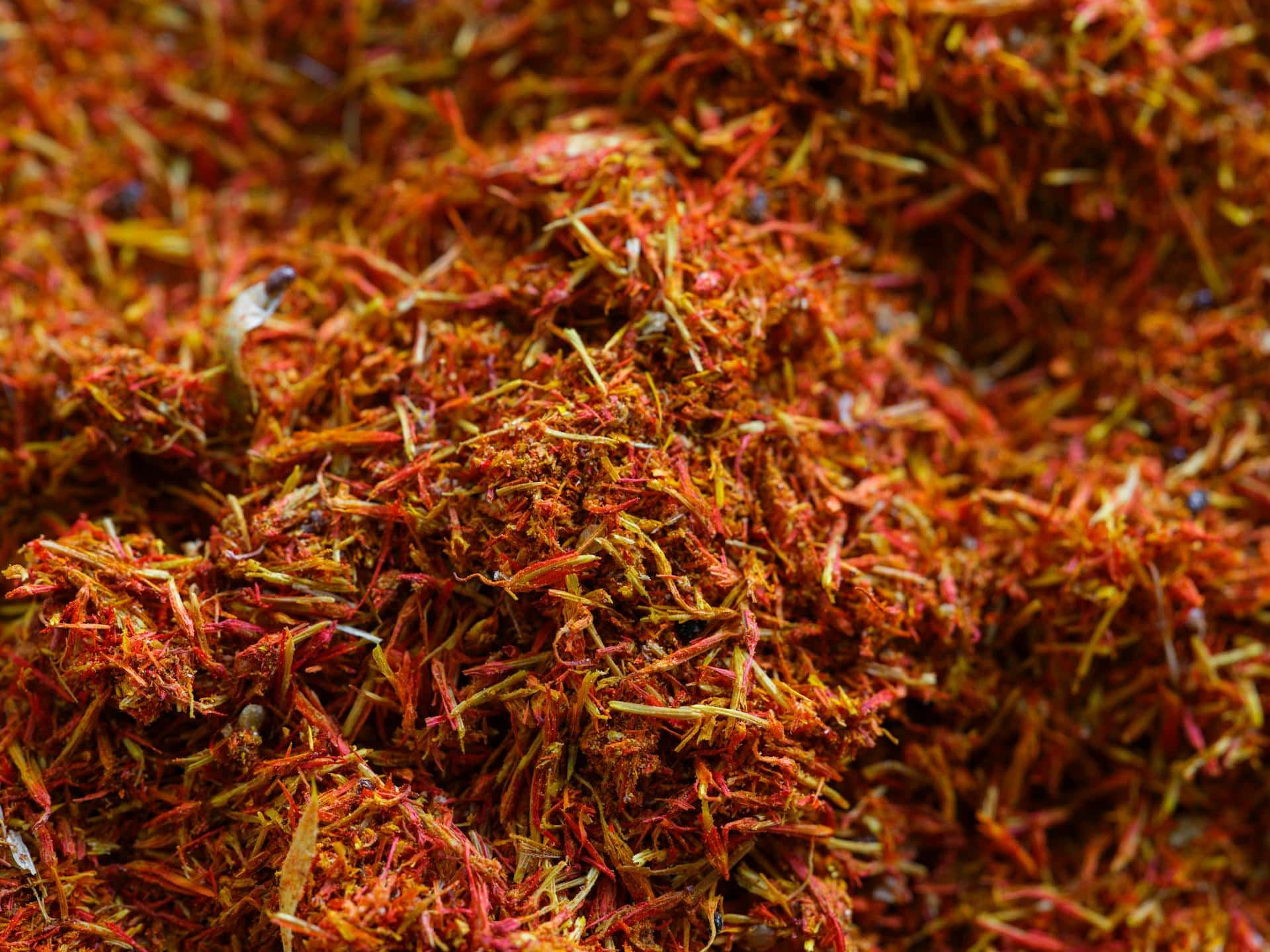 What Is Saffron Used For? A Complete Guide to the World’s Most Precious Spice
