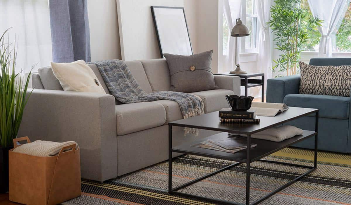 Gray sofa and black coffee table in a bright room