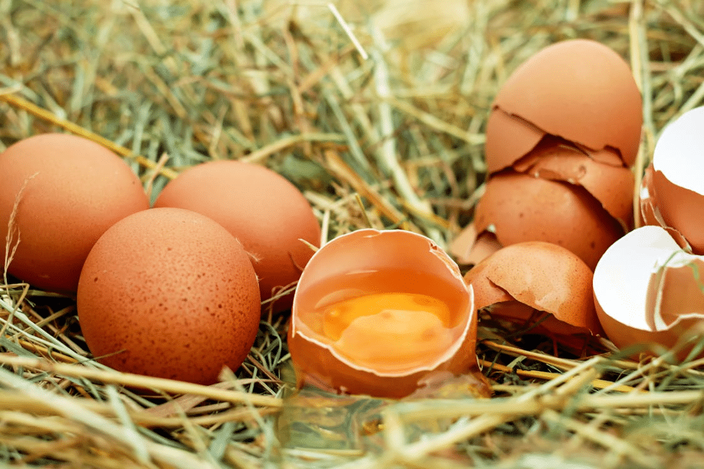 7 Most Trusted Egg Producers in the U.S.