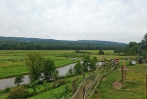 8 Ways the Hudson Valley Is Redefining Local Dining Experiences