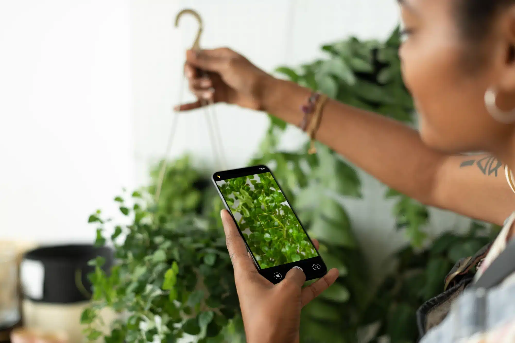 How to Identify and Care for Plants Using AI
