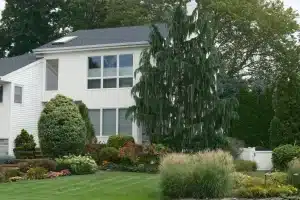 White suburban house with large windows surrounded by lush greenery and manicured garden