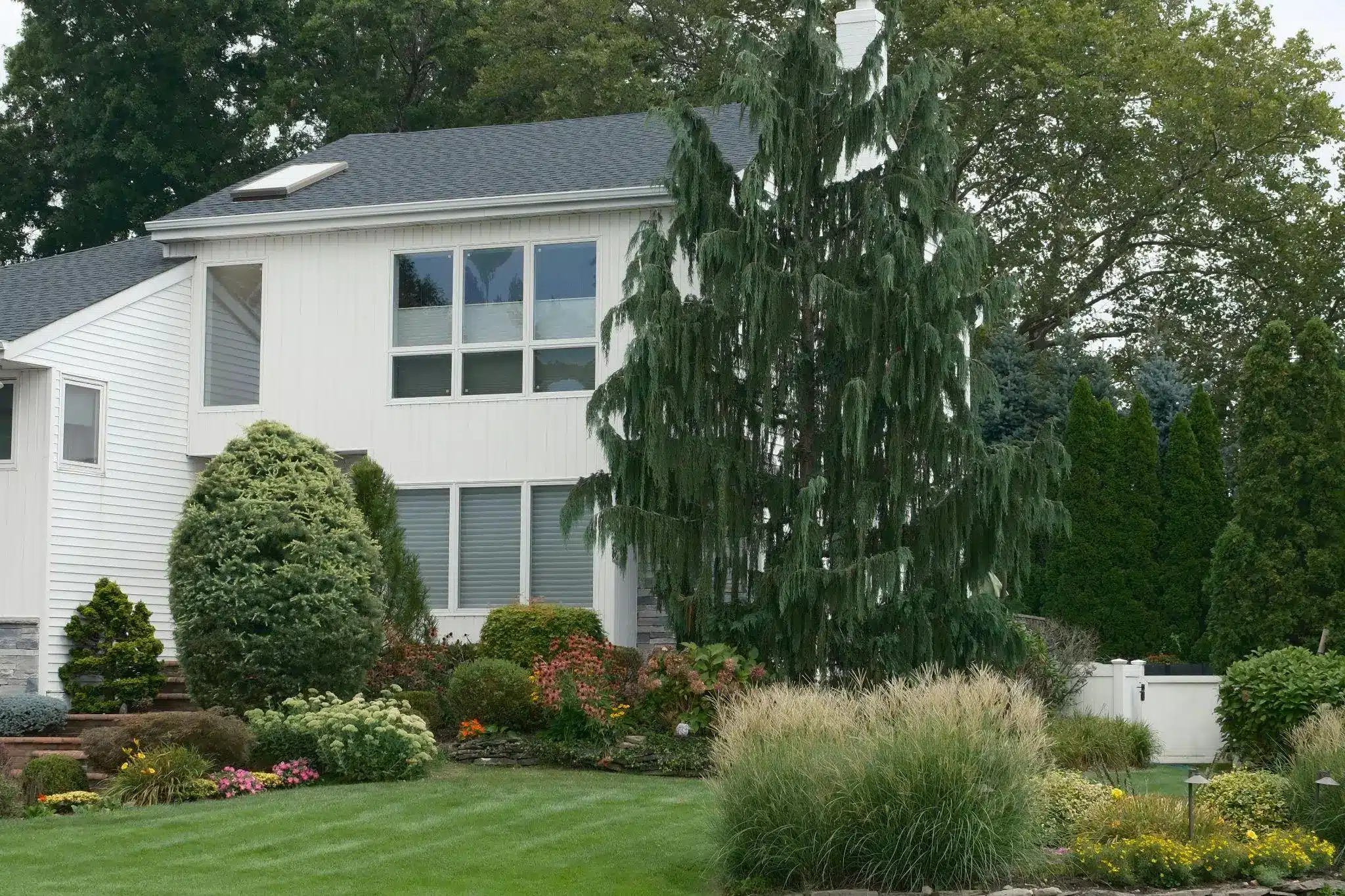 White suburban house with large windows surrounded by lush greenery and manicured garden