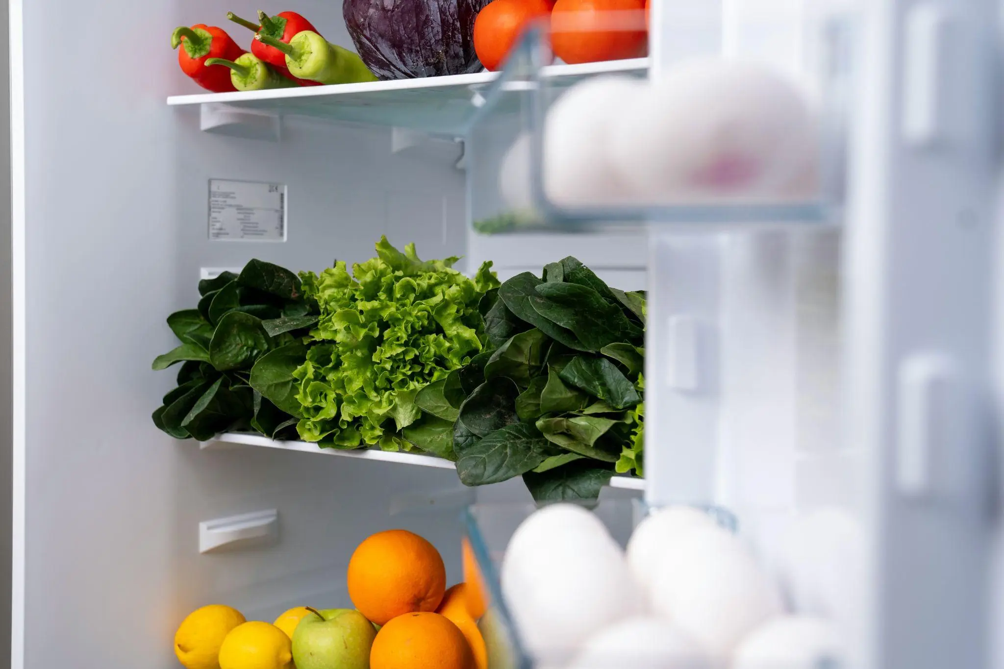 Fresh vegetables and fruits neatly arranged inside a refrigerator with bright interior lighting