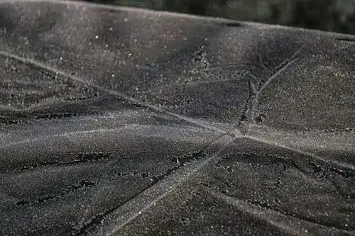 Frost-covered surface with geometric patterns and glistening texture in early morning light