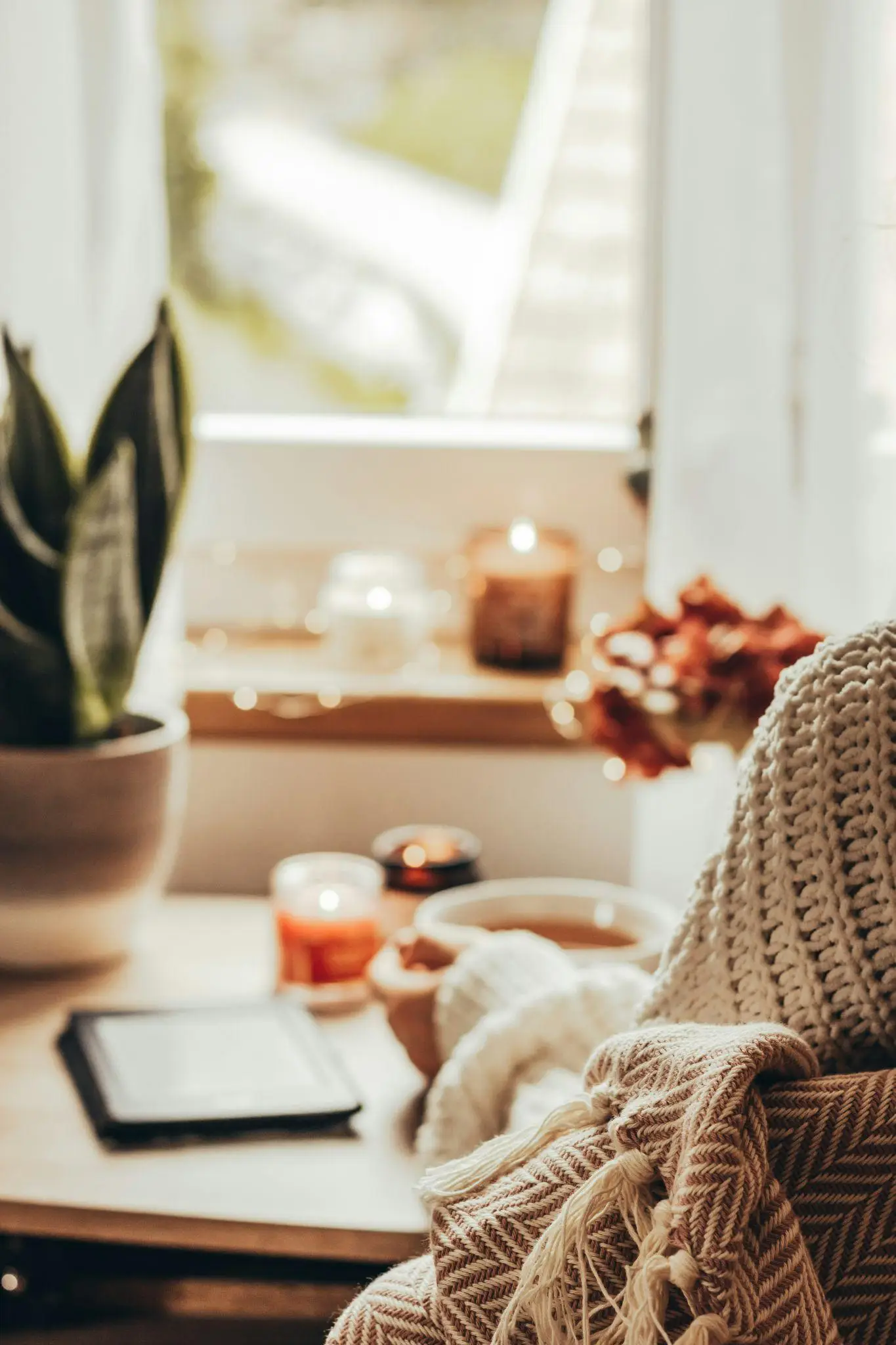 Cozy indoor scene with candles, a potted plant, and a knit blanket near a window