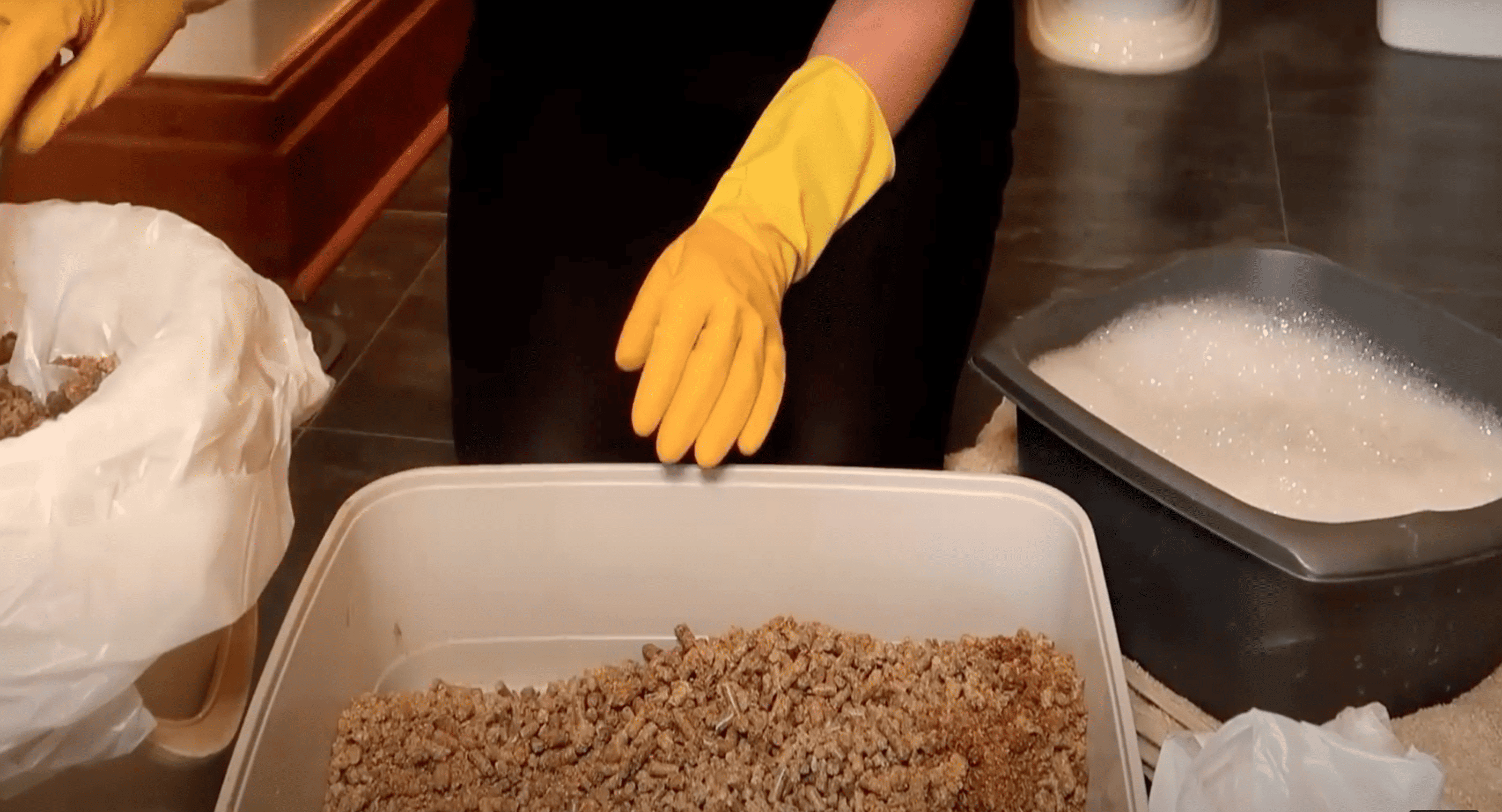 Person scooping cat waste and clumps from a litter box using a litter scoop