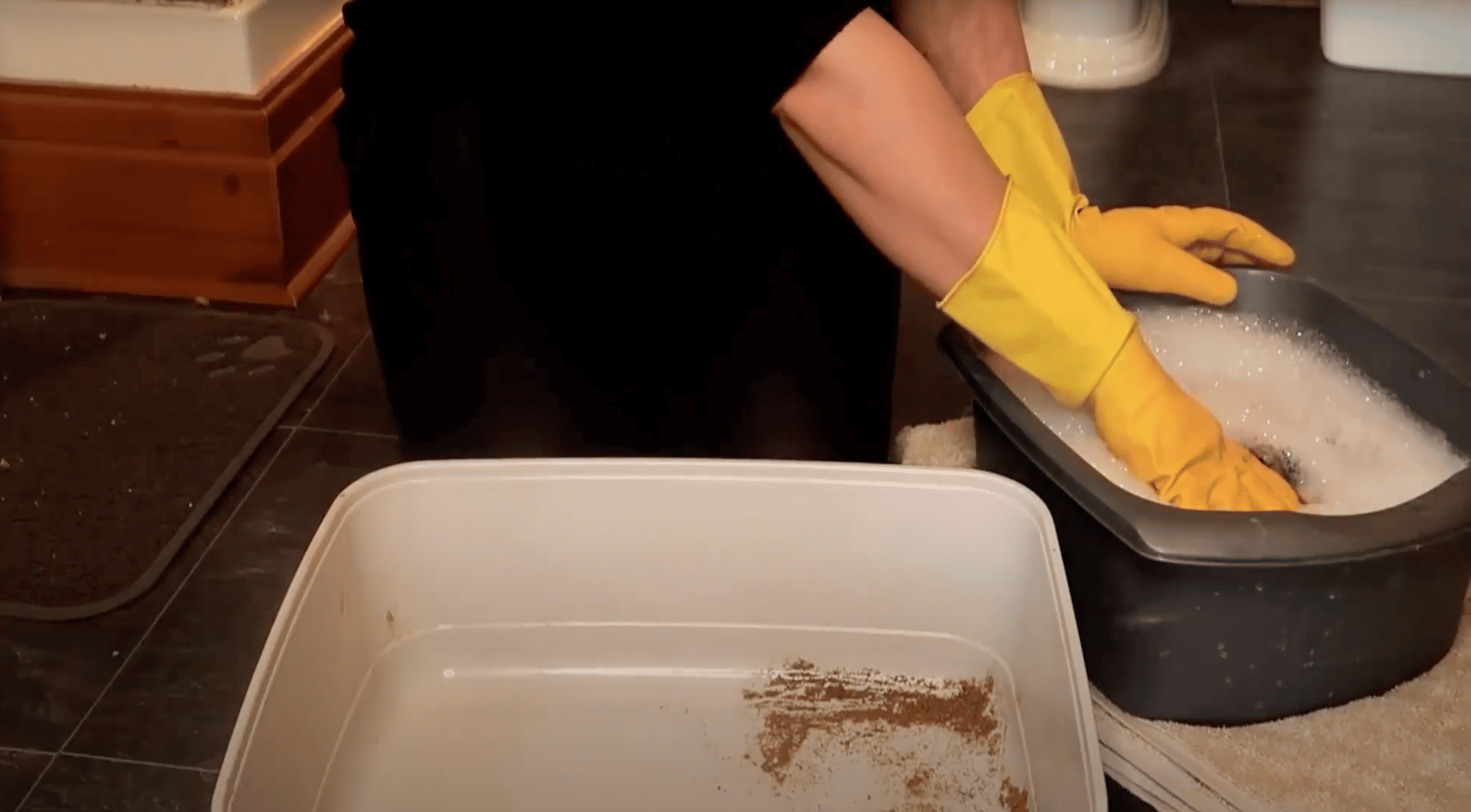 Person washing an empty cat litter tray with hot water and mild dish soap using a sponge