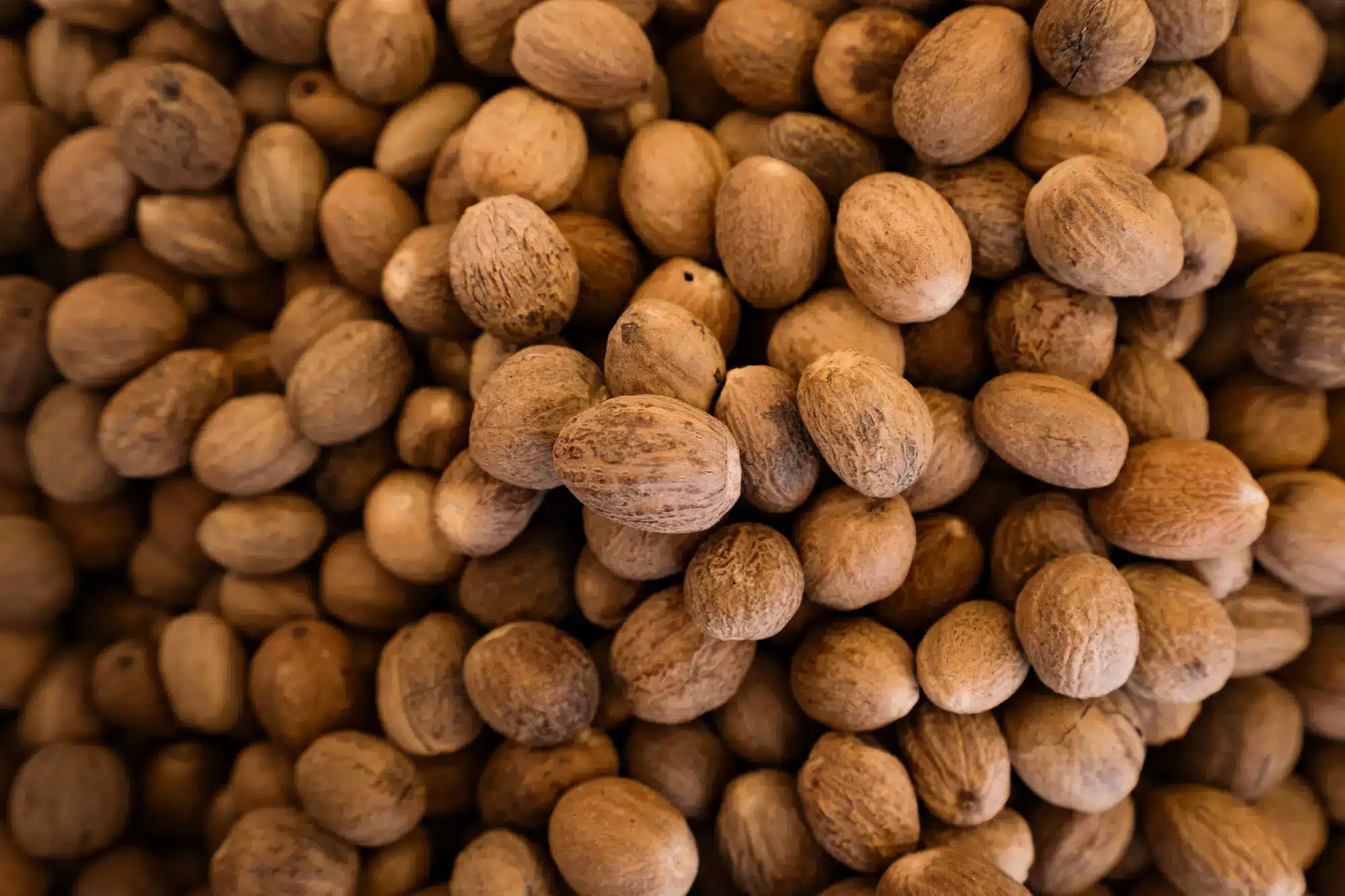 Close-up of whole nutmeg seeds with textured brown shells