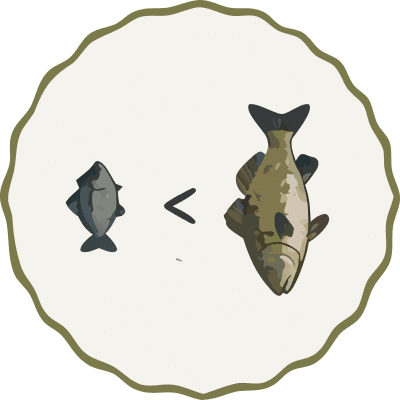 All red drum taste the same