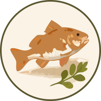 Choose smaller fish
