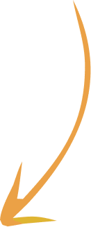 Down Arrow Orange