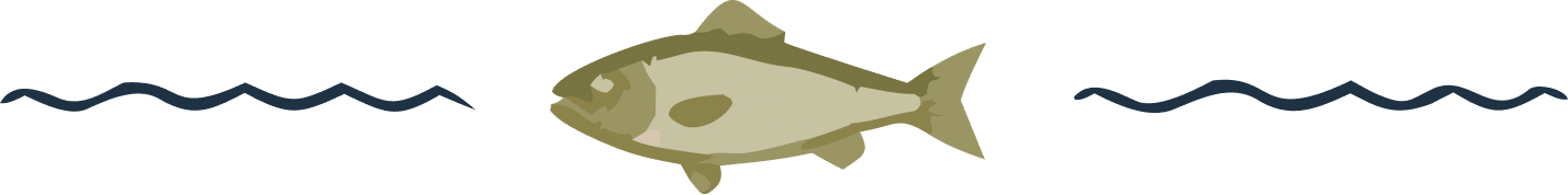 How to Cook Halibut Without Drying It Out