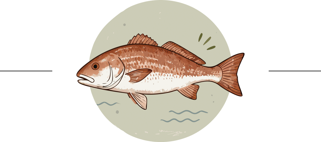 Red Drum Taste2