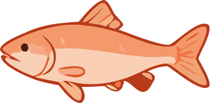 Salmon prices vary a lot depending on the species1