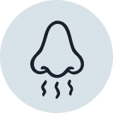 Smell