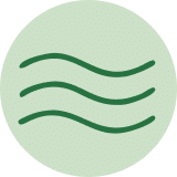 Texture