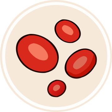 Vitamin B12 and iron