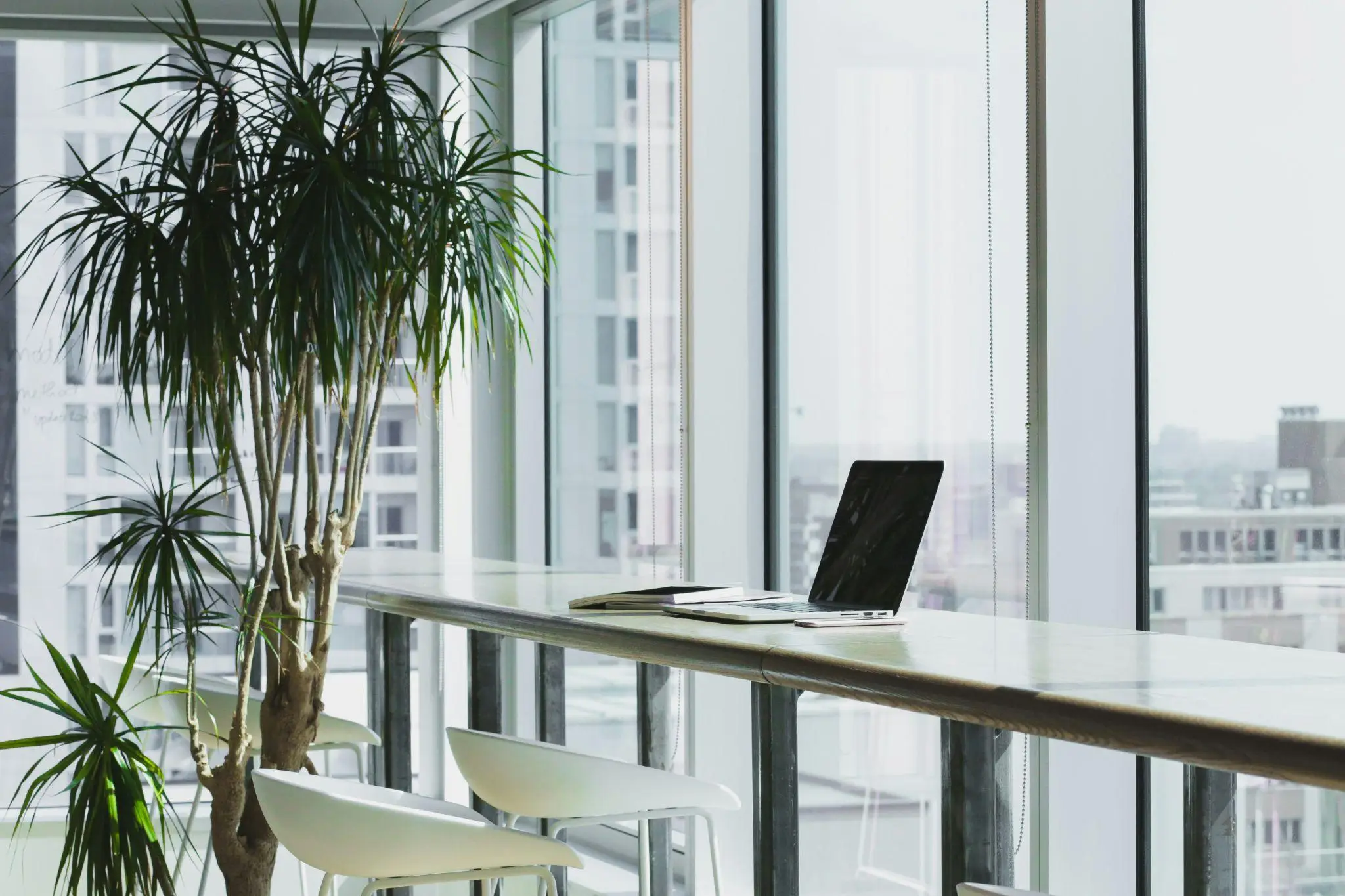 Laptop on long desk with potted plant in modern office with large windows
