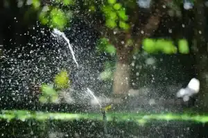 Garden sprinkler spraying water on green lawn in sunny outdoor setting