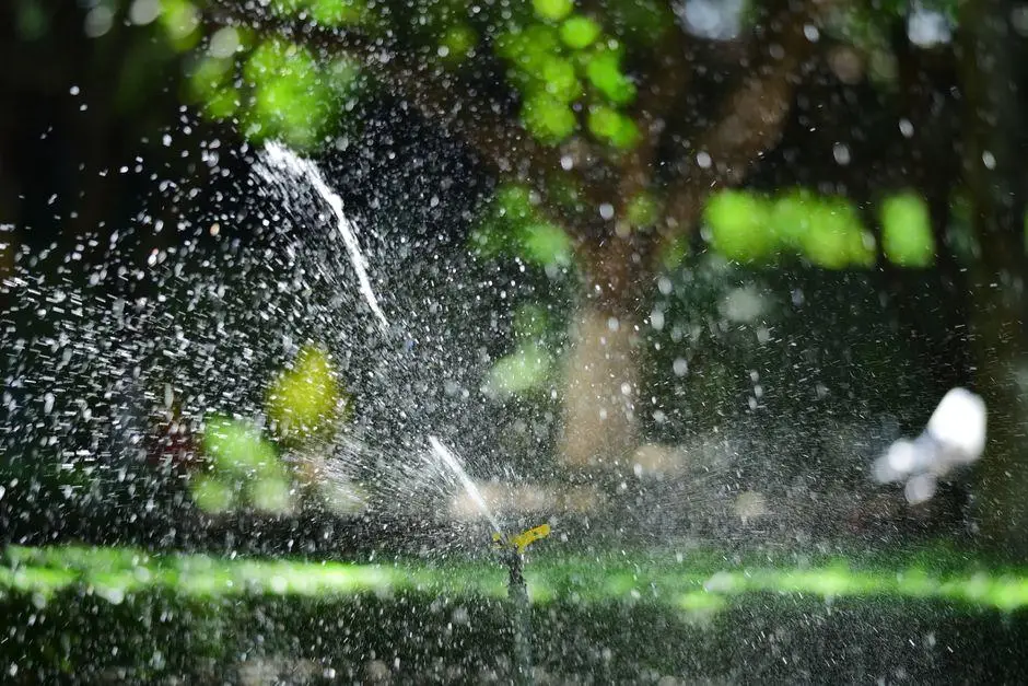 Garden sprinkler spraying water on green lawn in sunny outdoor setting