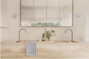 Double sinks with chrome faucets in a modern bathroom with large mirror and potted plant
