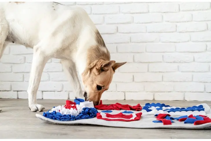 Dog sniffing colorful puzzle mat in front of white brick wall