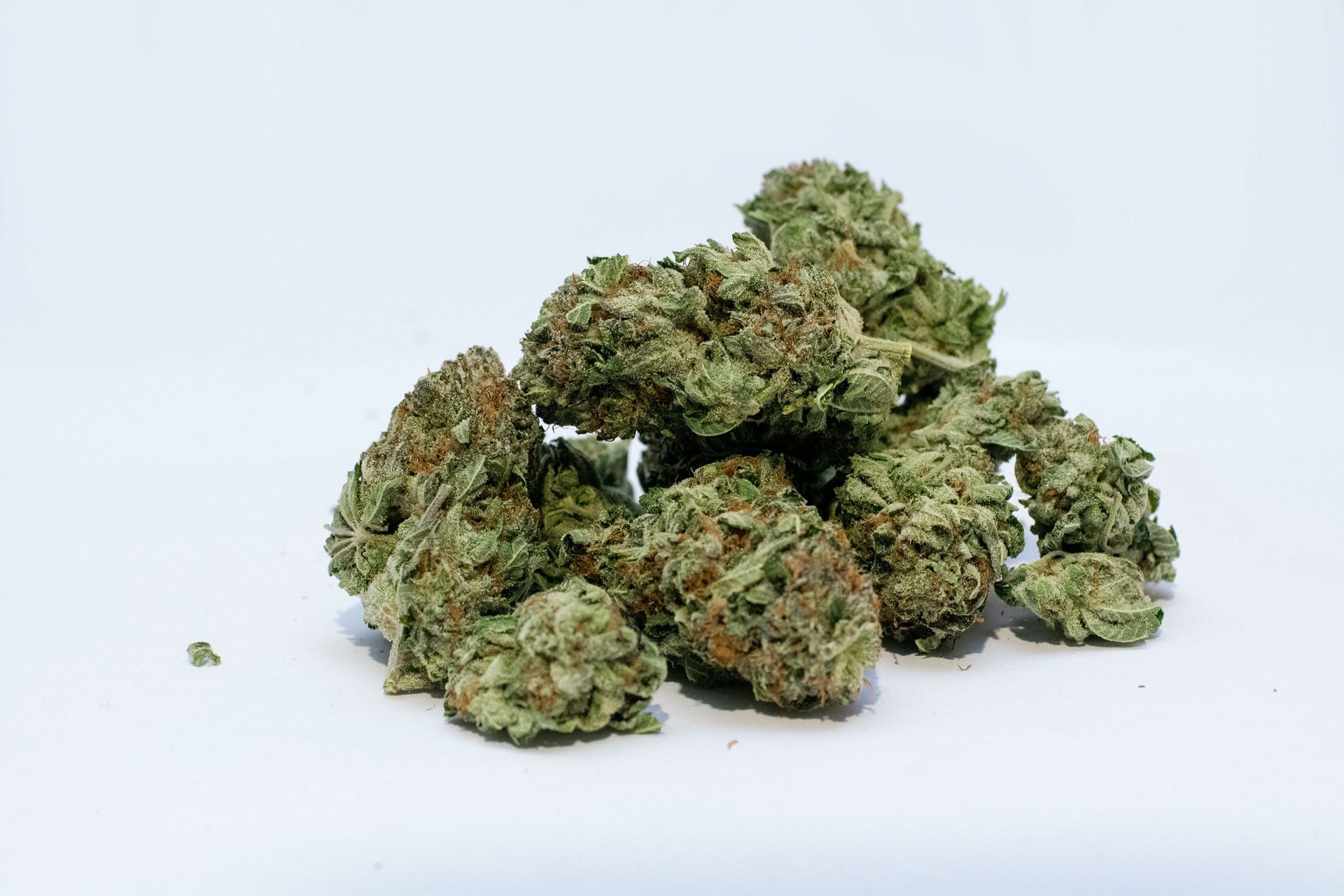 How White Nerds Strain Stands Out for Aroma, Flavor, and Appearance