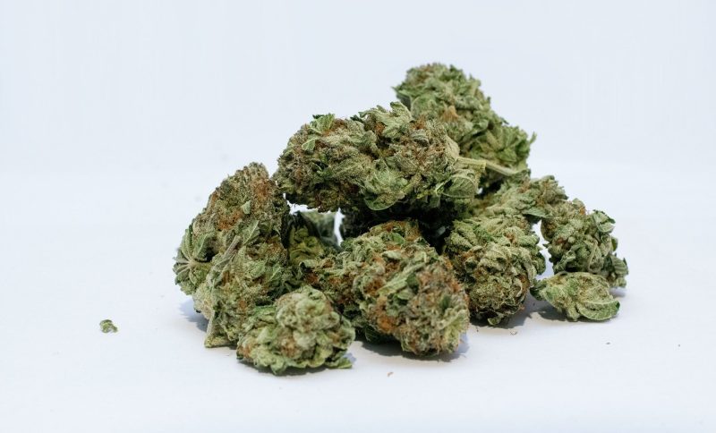 How White Nerds Strain Stands Out for Aroma, Flavor, and Appearance