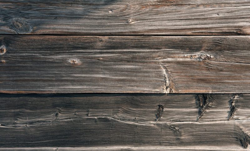 Early Warning Signs of Termite Damage Every Homeowner Should Know