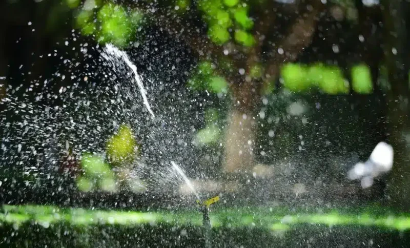 Garden sprinkler spraying water on green lawn in sunny outdoor setting