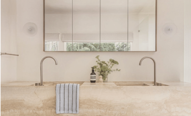 Double sinks with chrome faucets in a modern bathroom with large mirror and potted plant